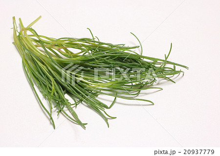 若芽ひじき 20937779