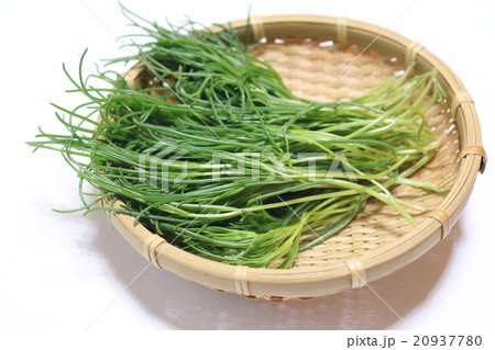 若芽ひじき 20937780