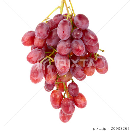 pink grapes 20938262