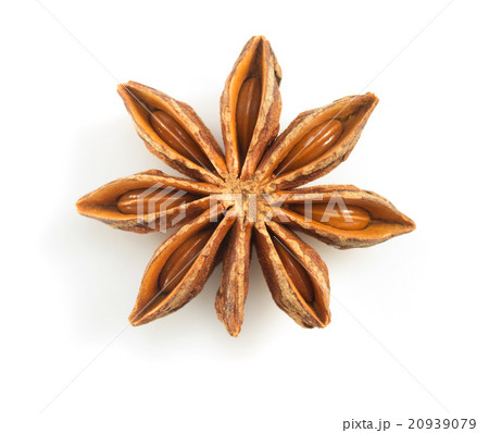 anise star on white background 20939079