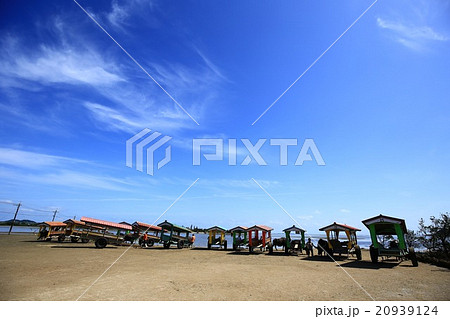 沖縄県西表島・水牛車 沖縄県西表島・水牛車 20939124