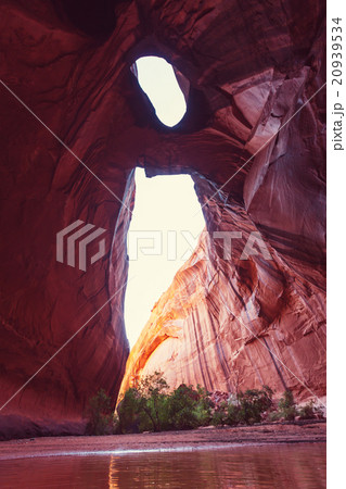 Golden Cathedral 20939534