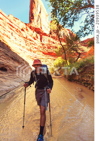 Hike in Coyote gulch Hike in Coyote gulch 20939538