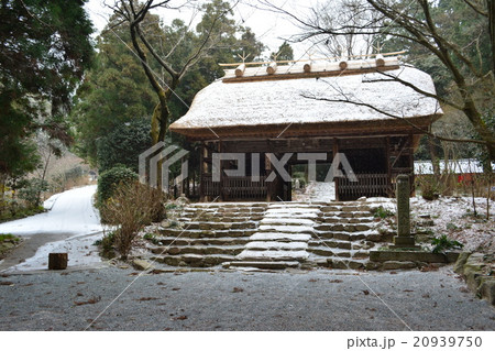 周防阿弥陀寺仁王門雪景色 周防阿弥陀寺仁王門雪景色 20939750