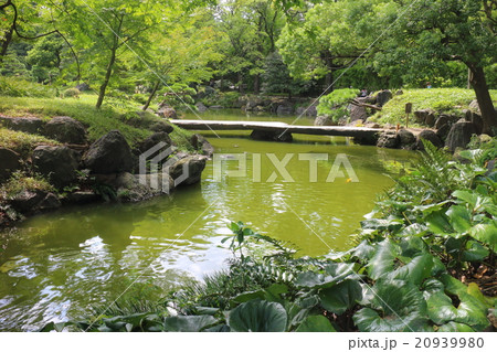 清澄庭園 20939980