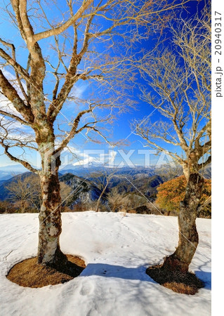 丹沢・鍋割山からの富士山 20940317