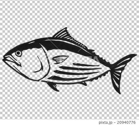鰹魚的例證 鰹魚的例證 20940776