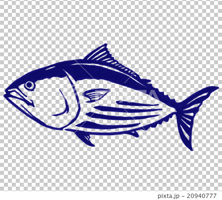 鰹魚的例證 鰹魚的例證 20940777