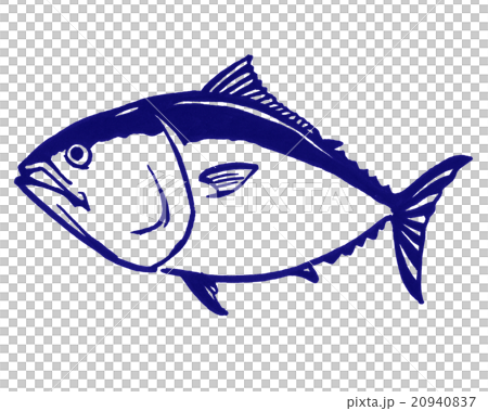 鮪のイラスト 鮪のイラスト 20940837