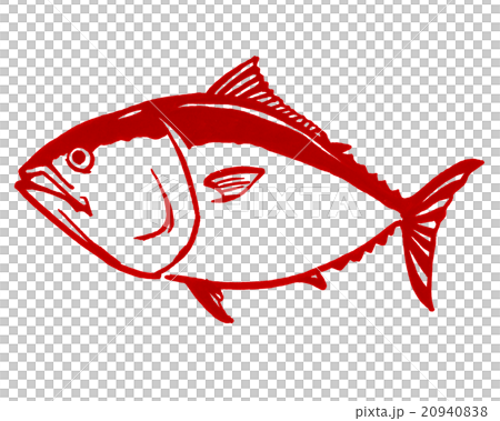 鮪のイラスト 鮪のイラスト 20940838