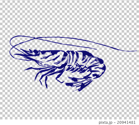 車海老のイラスト 車海老のイラスト 20941481