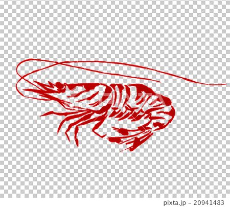 車海老のイラスト 20941483