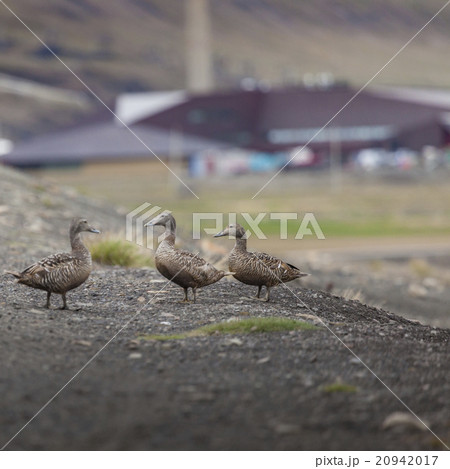 Beautiful scenic view of blue gulf under mountain Beautiful scenic view of blue gulf under mountain 20942017
