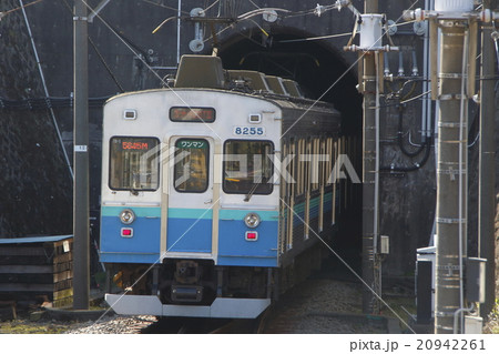 ［IZ］伊豆急行線8000系電車 20942261