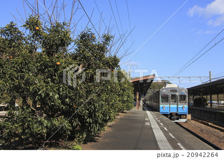 ［IZ］伊豆急行8000系電車 20942264