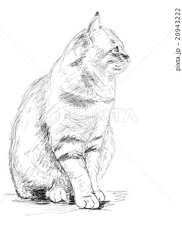 【絵】猫のキャラクター 鉛筆画 モノクロ 黒い猫のスケッチ。接写。白い背景に猫頭。鉛筆、インク手描きのリアル