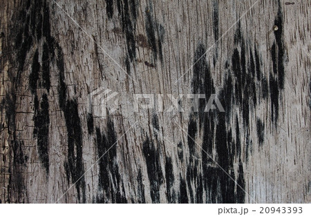 old weathered abandoned wood surface old weathered abandoned wood surface 20943393