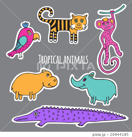 Set tropical animals Set tropical animals 20944185