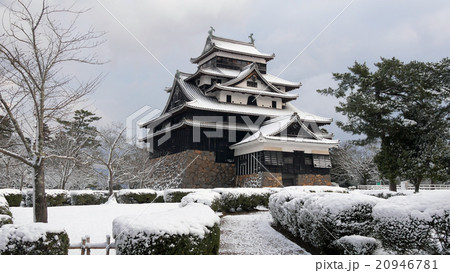 雪の松江城(国宝) 20946781