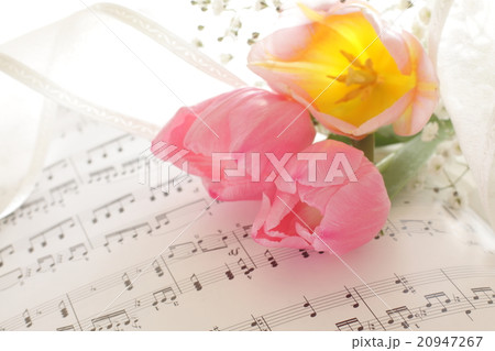 チューリップと楽譜のピアノ発表会の背景イメージの写真素材