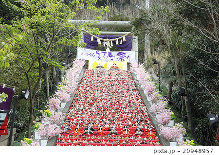 ひな祭り 20948957