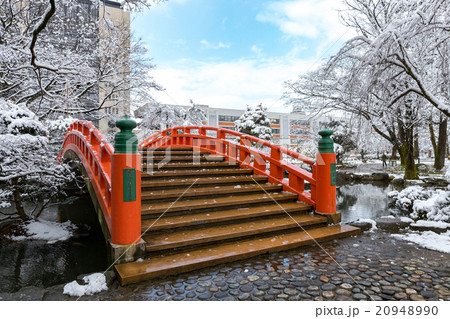 雪の富山城址公園 20948990