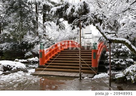 雪の富山城址公園 20948991