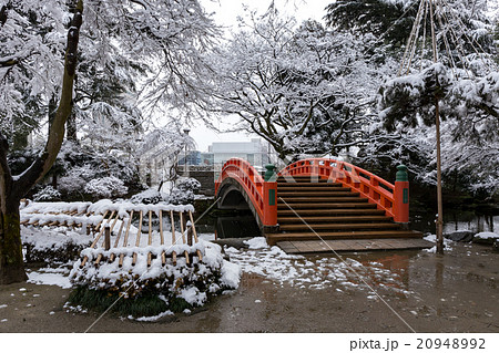雪の富山城址公園 20948992