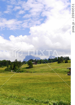アルぺ・ディ・シウージ alpe di siusi ザイザー・アルム seiser alm アルぺ・ディ・シウージ alpe di siusi ザイザー・アルム seiser alm 20949551