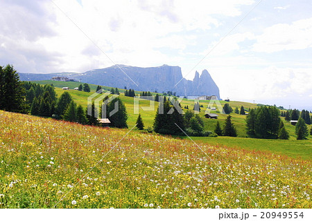 アルぺ・ディ・シウージ　alpe　di　siusi　　ザイザー・アルム　seiser　alm 20949554