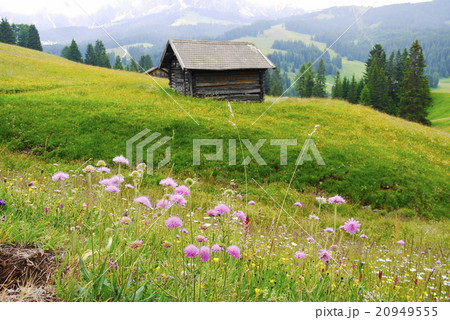 アルぺ・ディ・シウージ　alpe　di　siusi　　ザイザー・アルム　seiser　alm 20949555