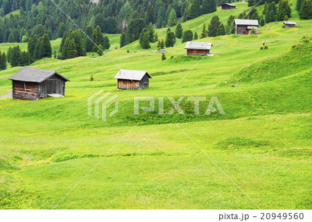 アルぺ・ディ・シウージ　alpe　di　siusi　　ザイザー・アルム　seiser　alm 20949560