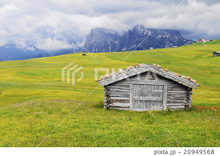 アルぺ・ディ・シウージ alpe di siusi ザイザー・アルム seiser alm アルぺ・ディ・シウージ alpe di siusi ザイザー・アルム seiser alm 20949568