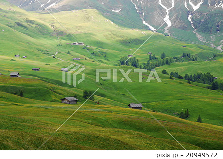 アルぺ・ディ・シウージ　alpe　di　siusi　　ザイザー・アルム　seiser　alm 20949572