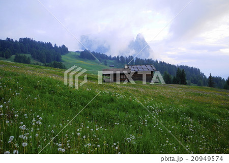 アルぺ・ディ・シウージ　alpe　di　siusi　　ザイザー・アルム　seiser　alm 20949574