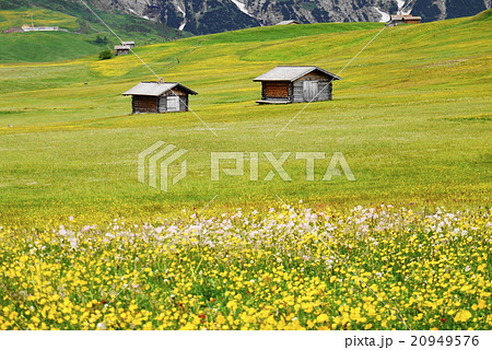 アルぺ・ディ・シウージ alpe di siusi ザイザー・アルム seiser alm アルぺ・ディ・シウージ alpe di siusi ザイザー・アルム seiser alm 20949576