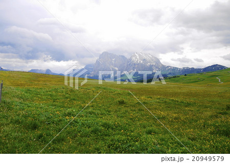 アルぺ・ディ・シウージ alpe di siusi ザイザー・アルム seiser alm アルぺ・ディ・シウージ alpe di siusi ザイザー・アルム seiser alm 20949579
