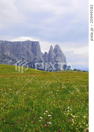 アルぺ・ディ・シウージ　alpe　di　siusi　　ザイザー・アルム　seiser　alm 20949582