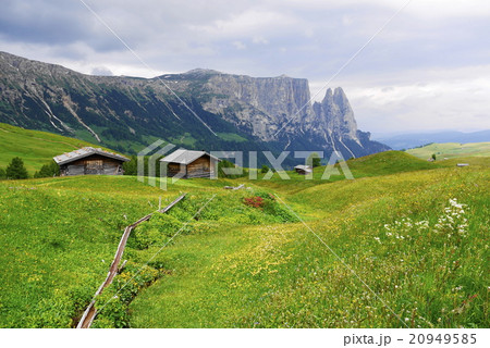 アルぺ・ディ・シウージ alpe di siusi ザイザー・アルム seiser alm アルぺ・ディ・シウージ alpe di siusi ザイザー・アルム seiser alm 20949585