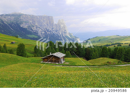アルぺ・ディ・シウージ alpe di siusi ザイザー・アルム seiser alm アルぺ・ディ・シウージ alpe di siusi ザイザー・アルム seiser alm 20949586