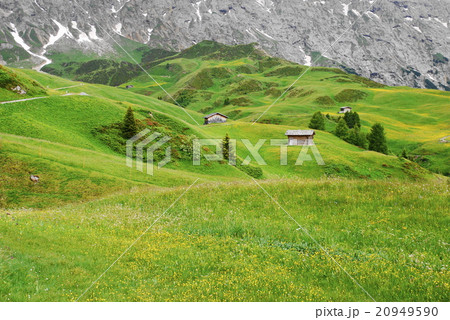 アルぺ・ディ・シウージ alpe di siusi ザイザー・アルム seiser alm アルぺ・ディ・シウージ alpe di siusi ザイザー・アルム seiser alm 20949590