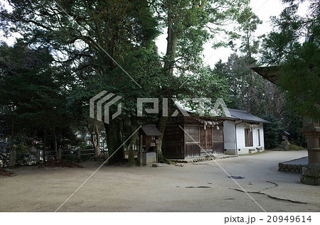 境内_玉作湯神社 20949614