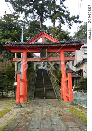 日枝神社の鳥居 日枝神社の鳥居 20949807