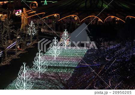 西武園イルミージュ2015-6 西武園イルミージュ2015-6 20950205