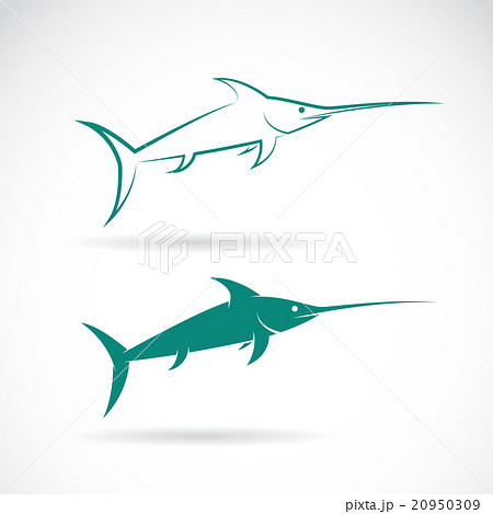 Vector image of an sailfish on white background 20950309