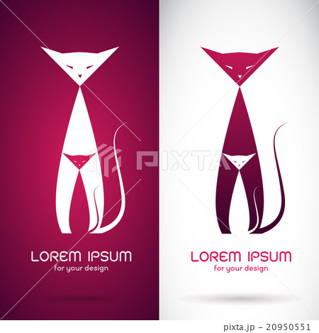 Vector image of an cat design  20950551