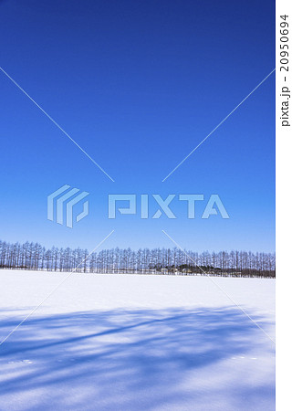 北の大地の雪景色 20950694