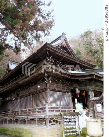 北向観音　本堂　タテ版 20950798