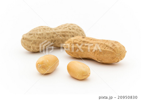 ピーナッツ: Peanuts 20950830