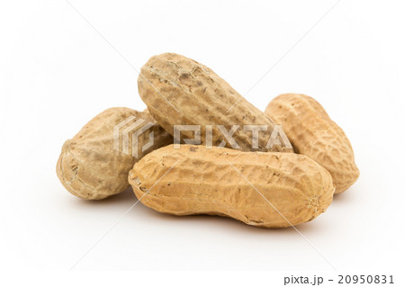 ピーナッツ: Peanuts ピーナッツ: Peanuts 20950831